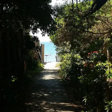 Apart Otel Solalto 4*