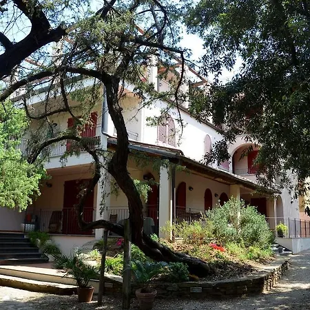 Solalto San Vincenzo