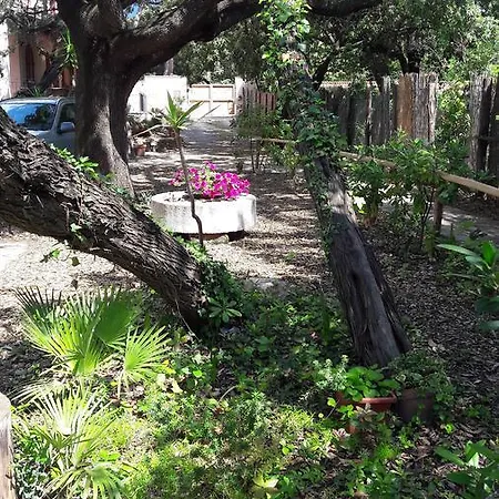 Aparthotel Solalto San Vincenzo